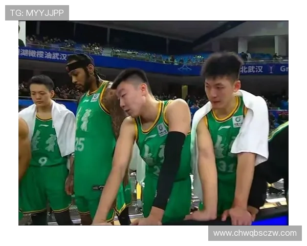 山东对阵辽宁的精彩对决分析及胜负预测